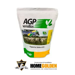 Brachiaria Brizanta Marandu